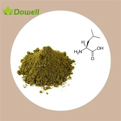 Protein gai dầu hữu cơ 60%